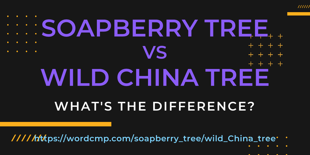 Difference between soapberry tree and wild China tree