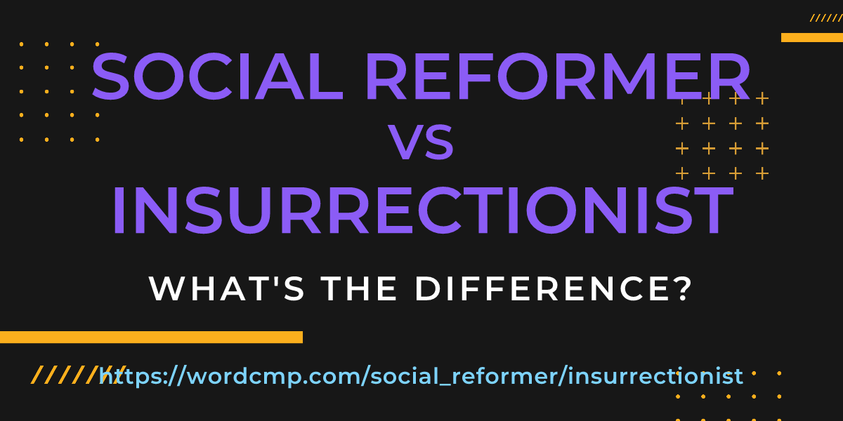 Difference between social reformer and insurrectionist