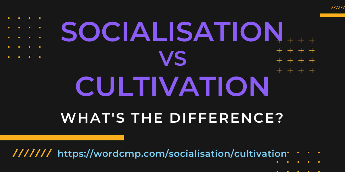 Difference between socialisation and cultivation