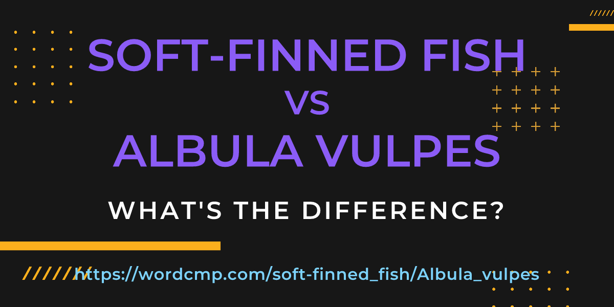 Difference between soft-finned fish and Albula vulpes