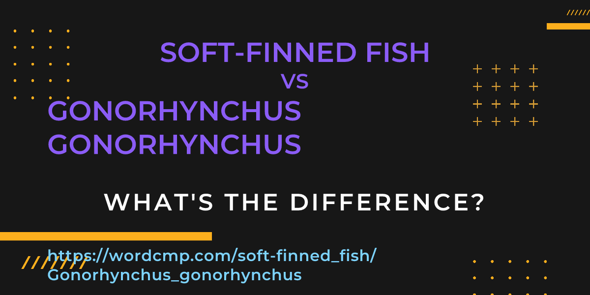 Difference between soft-finned fish and Gonorhynchus gonorhynchus