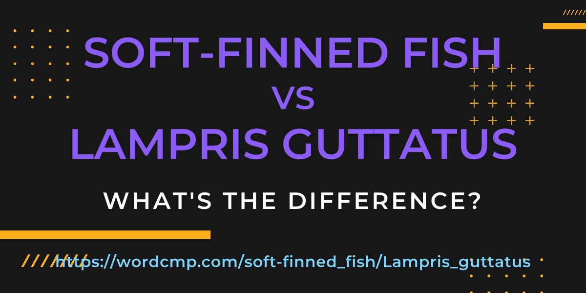 Difference between soft-finned fish and Lampris guttatus