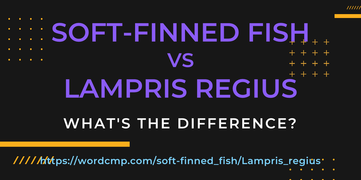 Difference between soft-finned fish and Lampris regius
