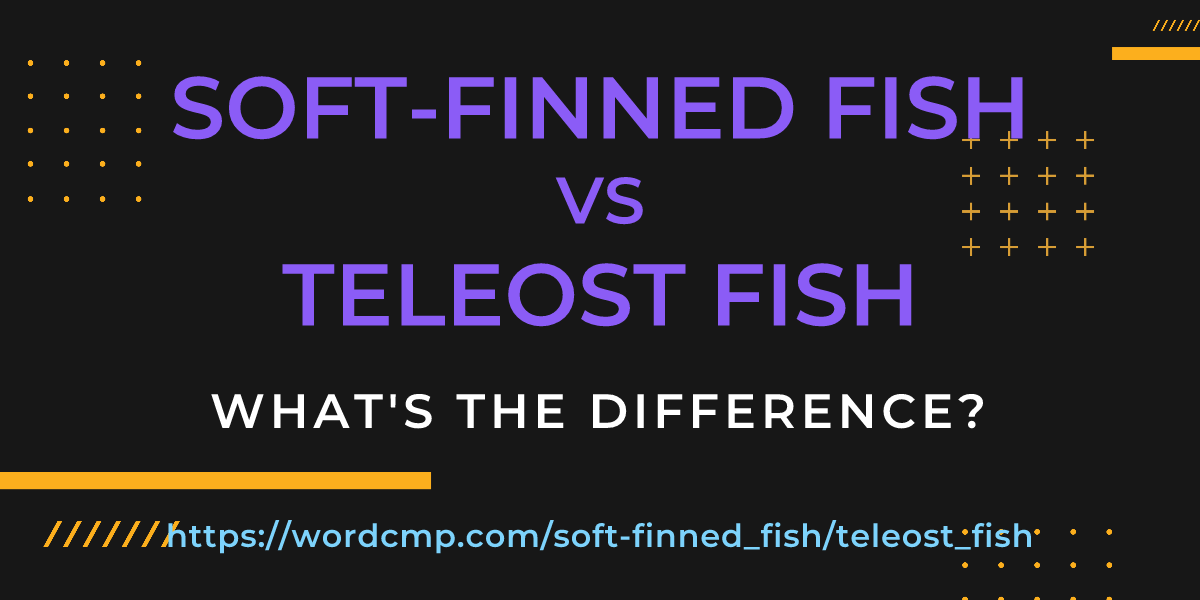 Difference between soft-finned fish and teleost fish