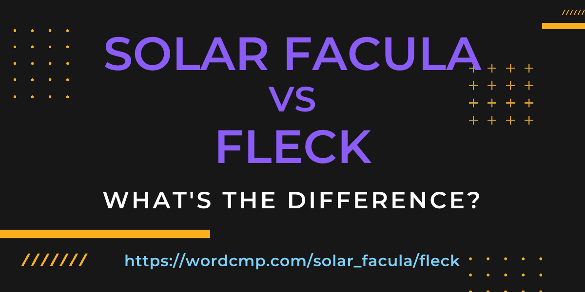 Difference between solar facula and fleck