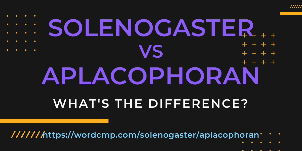 Difference between solenogaster and aplacophoran