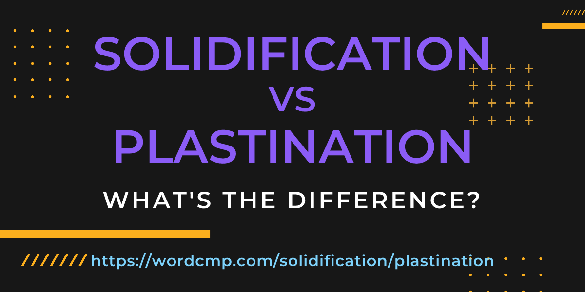 Difference between solidification and plastination