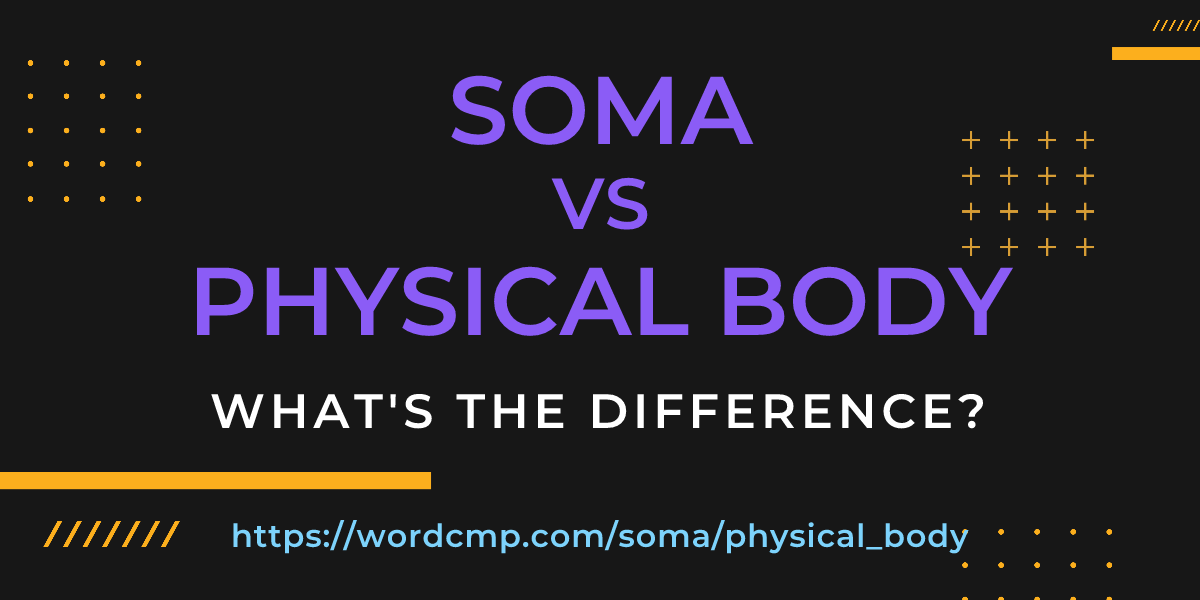 Difference between soma and physical body
