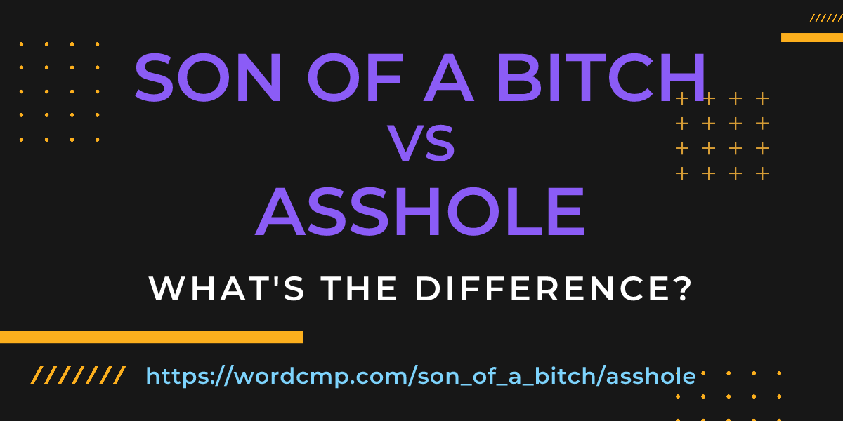 Difference between son of a bitch and asshole