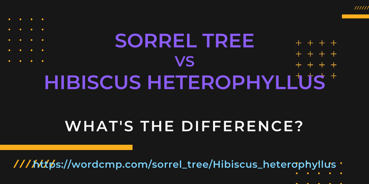 Difference between sorrel tree and Hibiscus heterophyllus