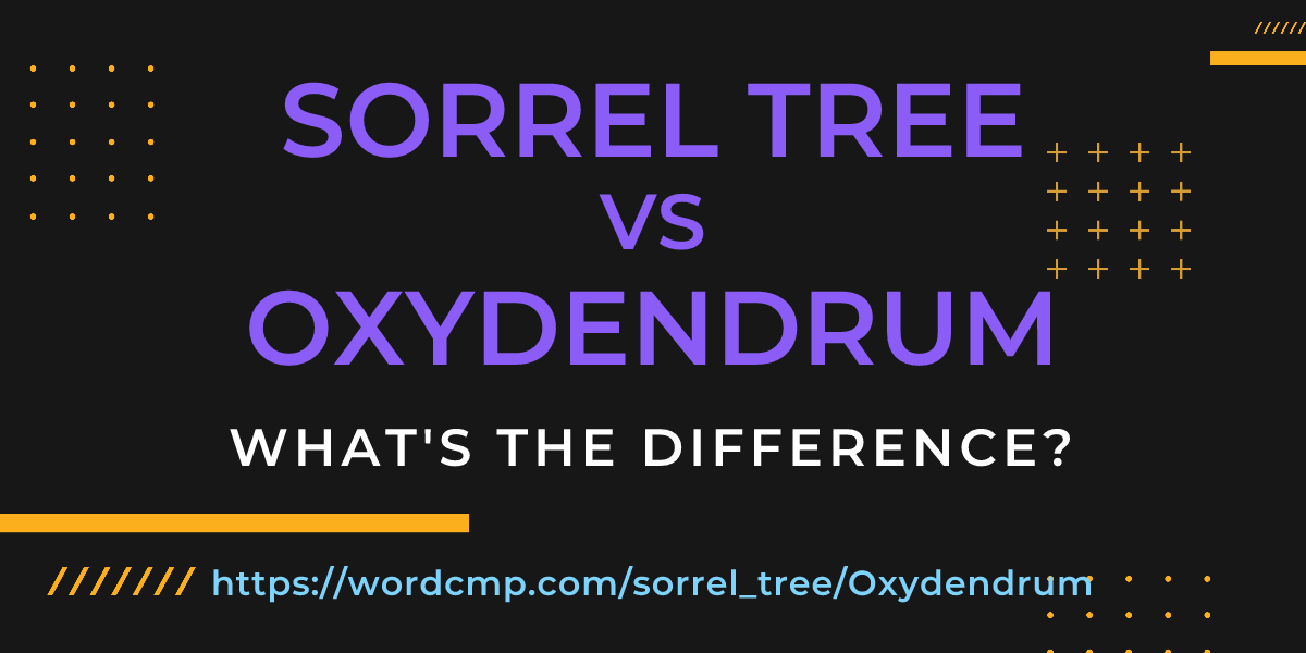 Difference between sorrel tree and Oxydendrum