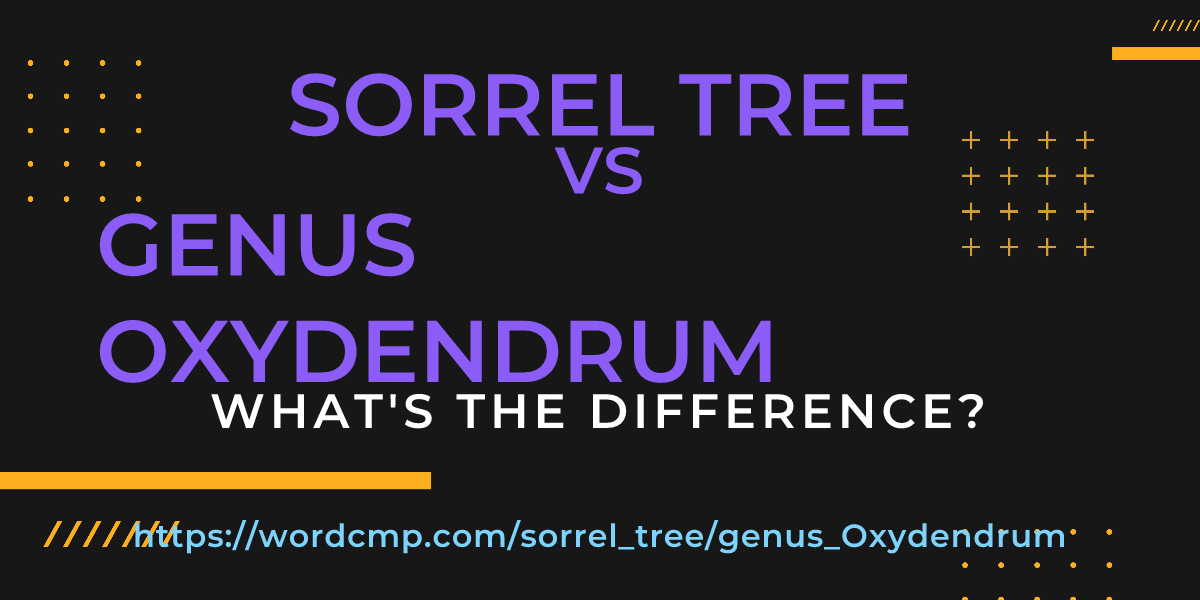 Difference between sorrel tree and genus Oxydendrum