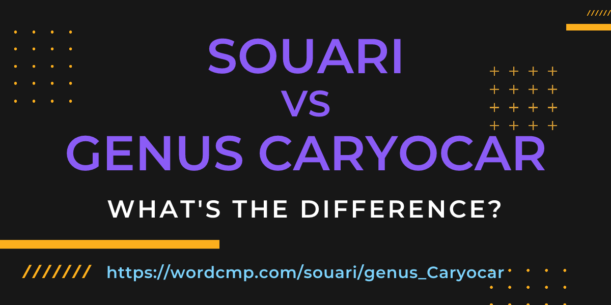Difference between souari and genus Caryocar