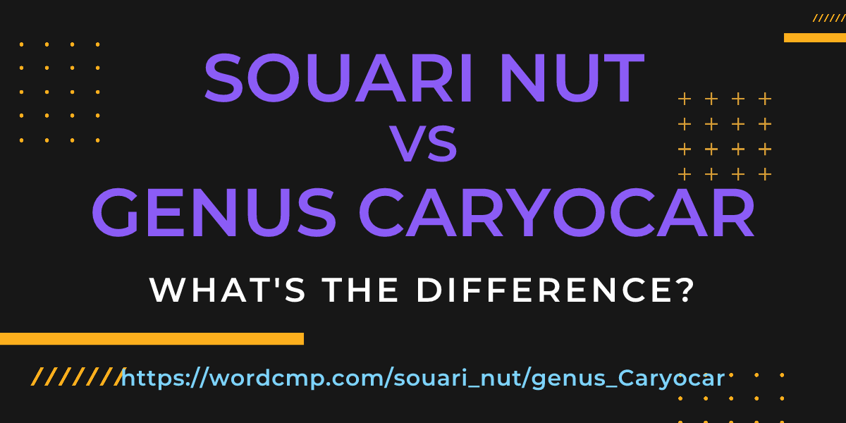 Difference between souari nut and genus Caryocar