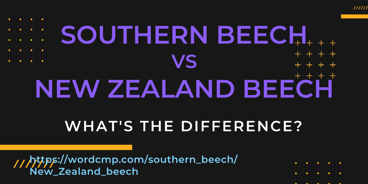 Difference between southern beech and New Zealand beech