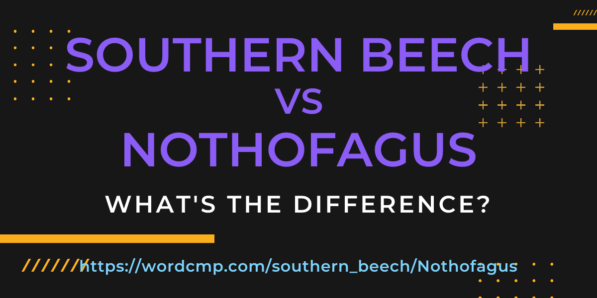 Difference between southern beech and Nothofagus