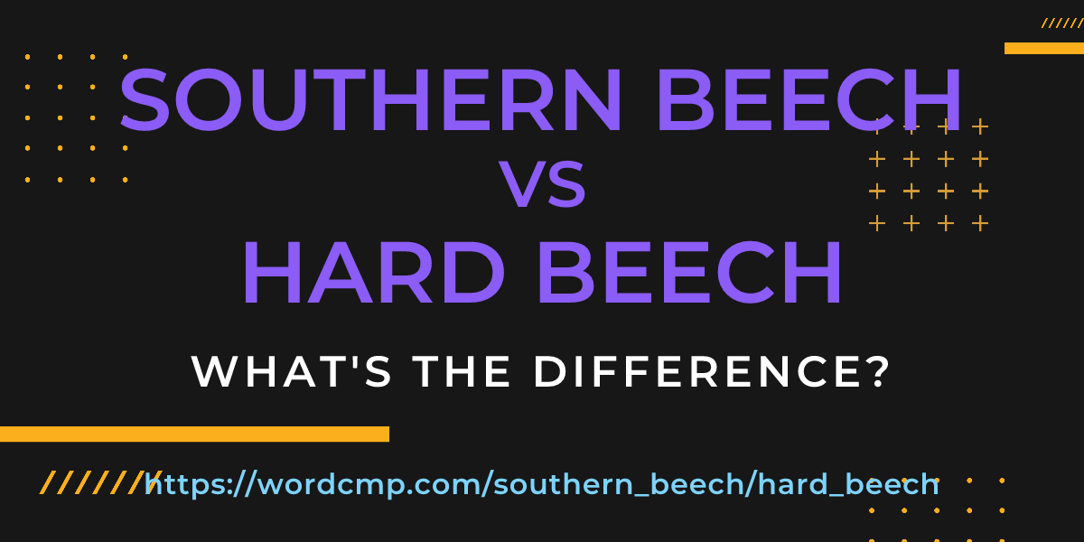 Difference between southern beech and hard beech