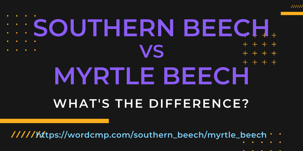Difference between southern beech and myrtle beech