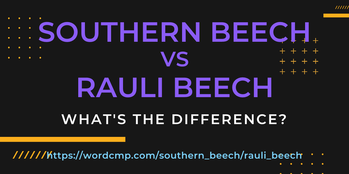 Difference between southern beech and rauli beech