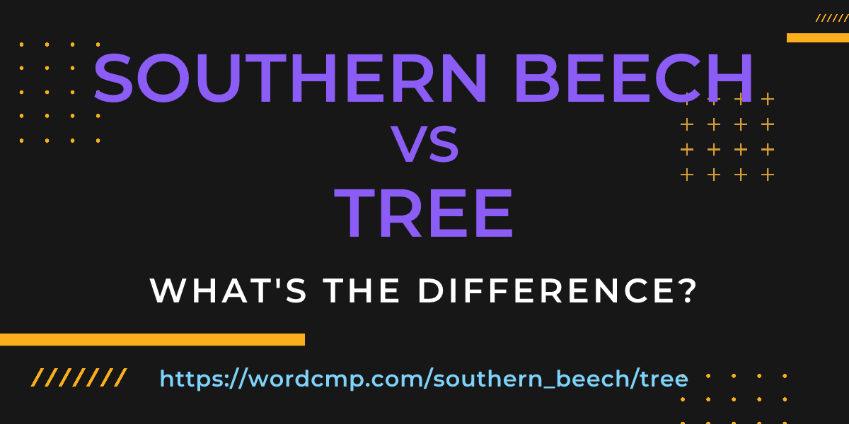 Difference between southern beech and tree