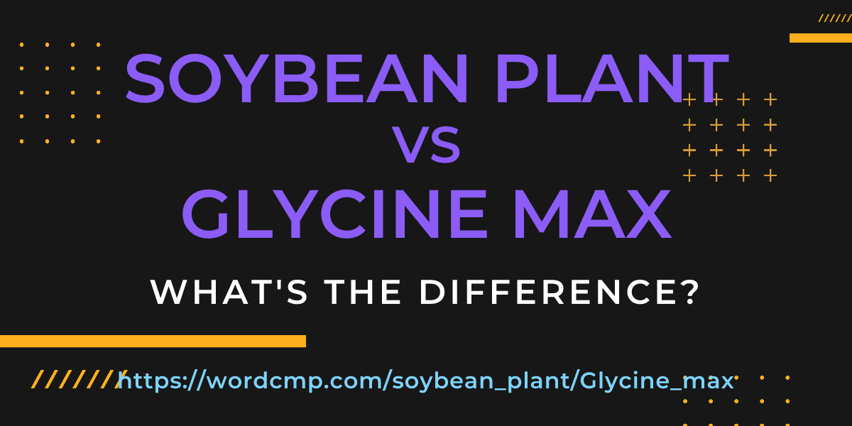 Difference between soybean plant and Glycine max
