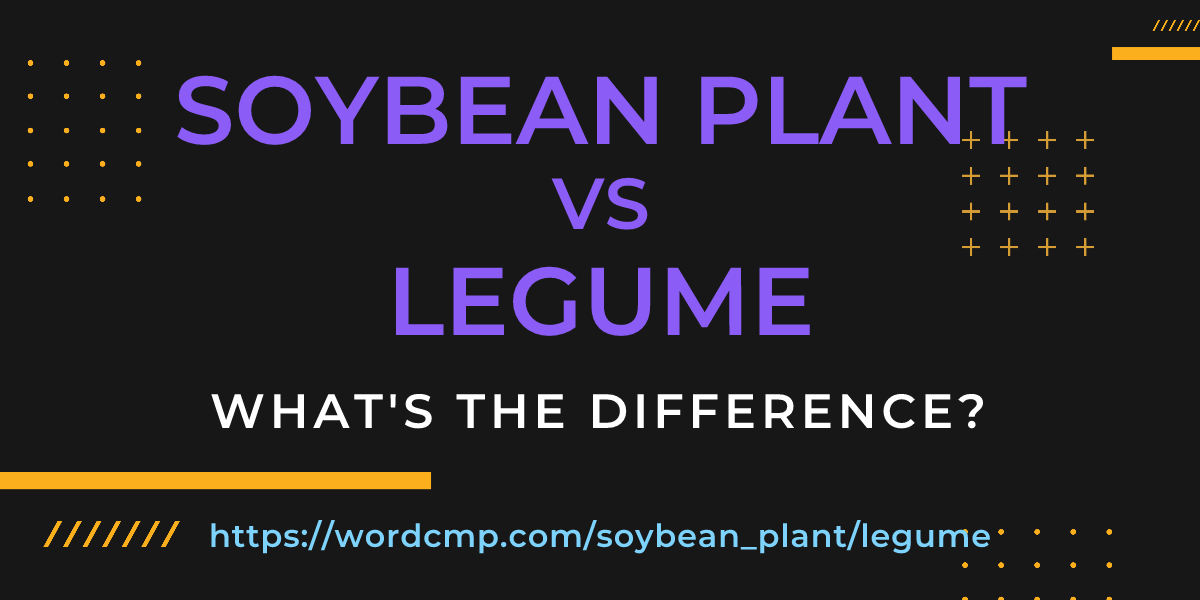 Difference between soybean plant and legume