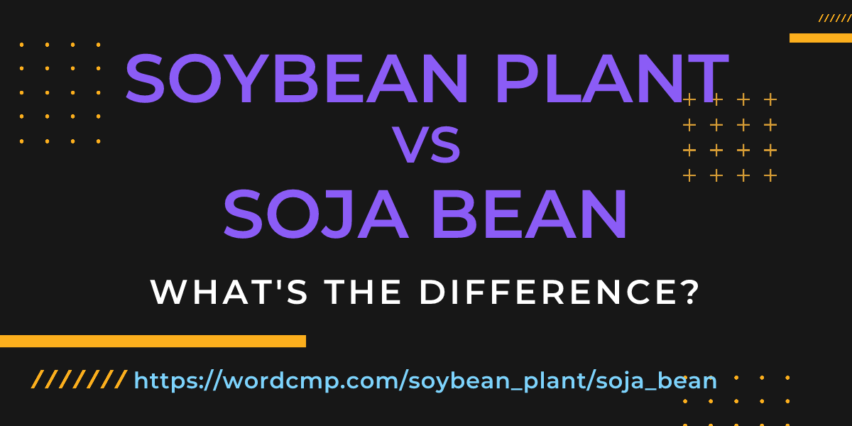 Difference between soybean plant and soja bean