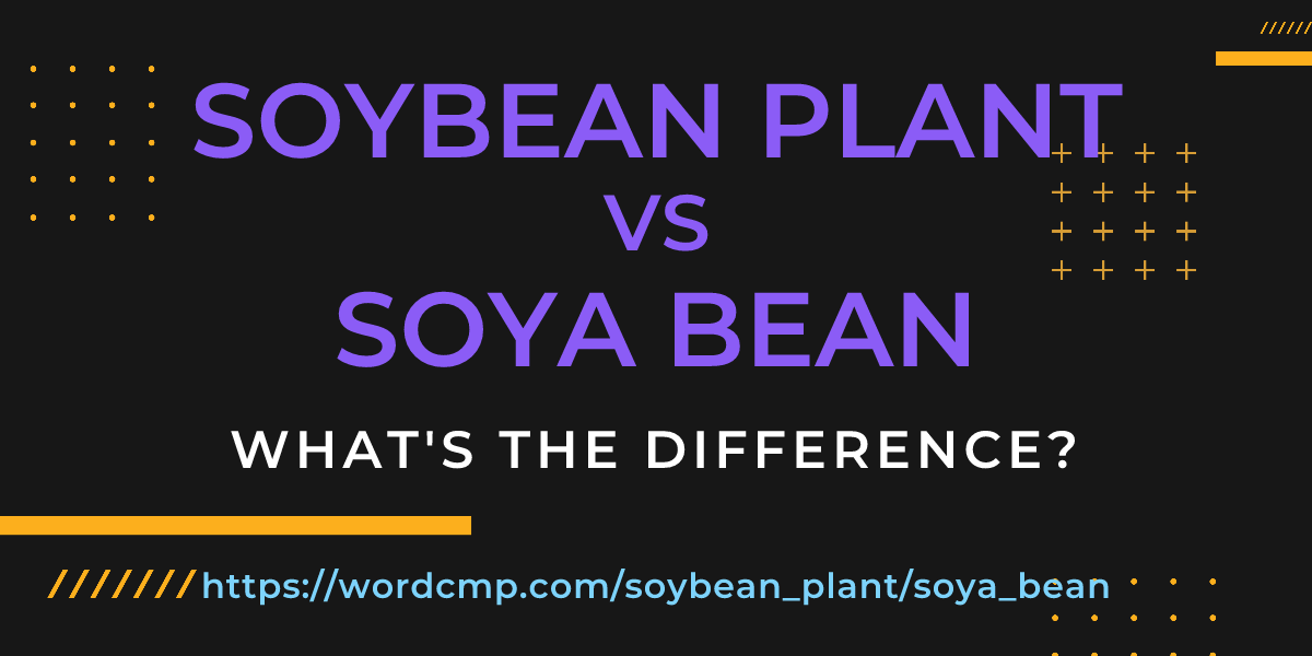 Difference between soybean plant and soya bean