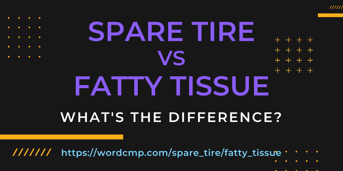 Difference between spare tire and fatty tissue