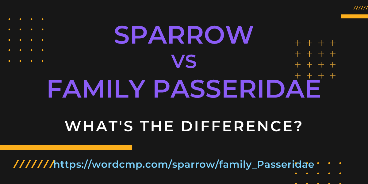 Difference between sparrow and family Passeridae