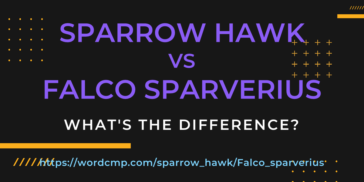Difference between sparrow hawk and Falco sparverius