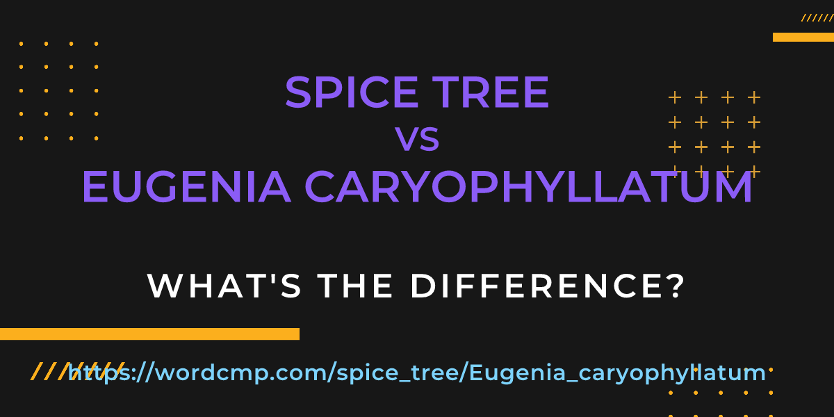 Difference between spice tree and Eugenia caryophyllatum