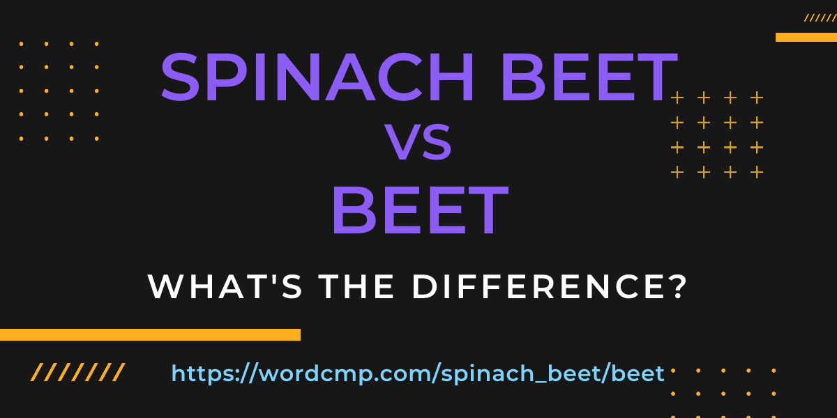 Difference between spinach beet and beet