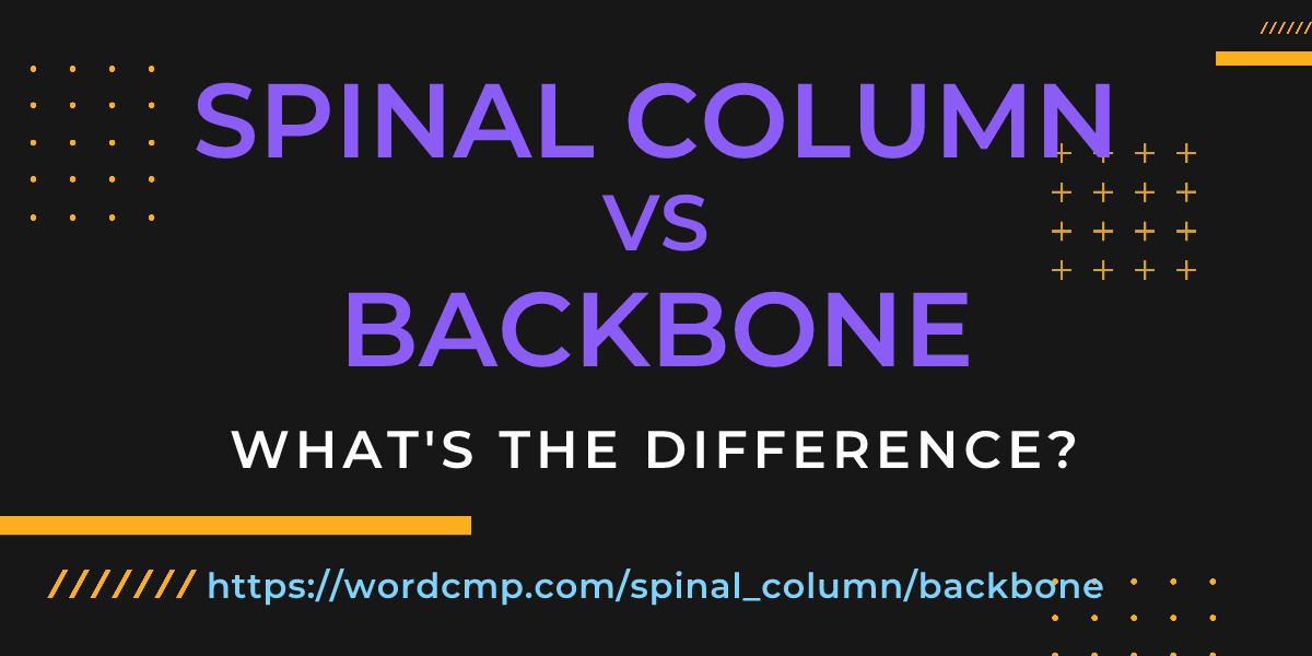 Difference between spinal column and backbone