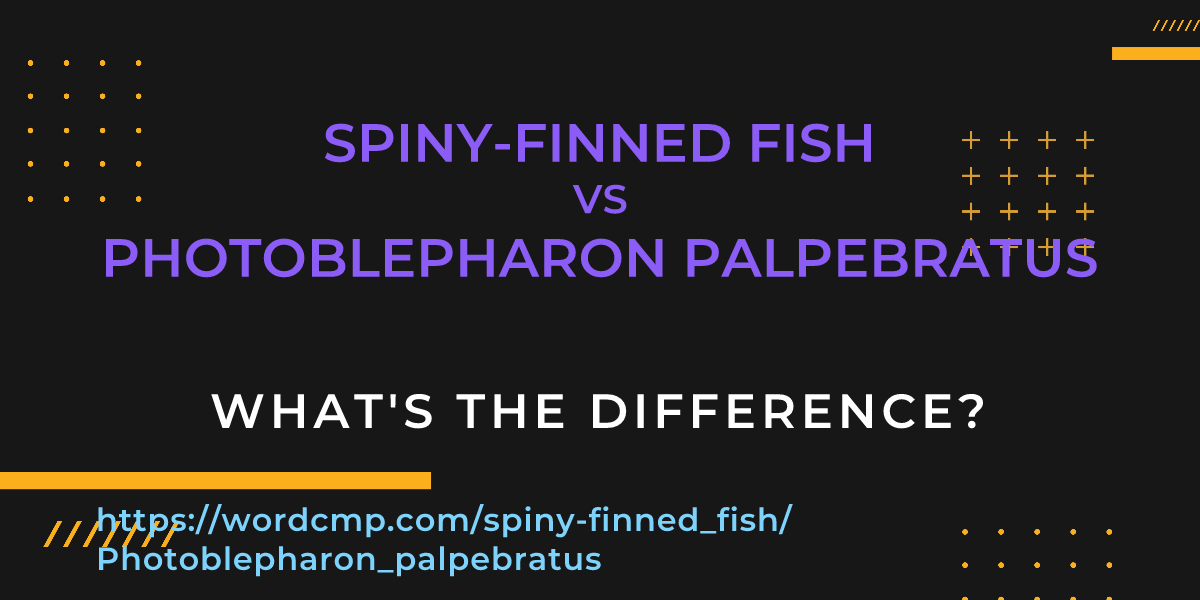 Difference between spiny-finned fish and Photoblepharon palpebratus