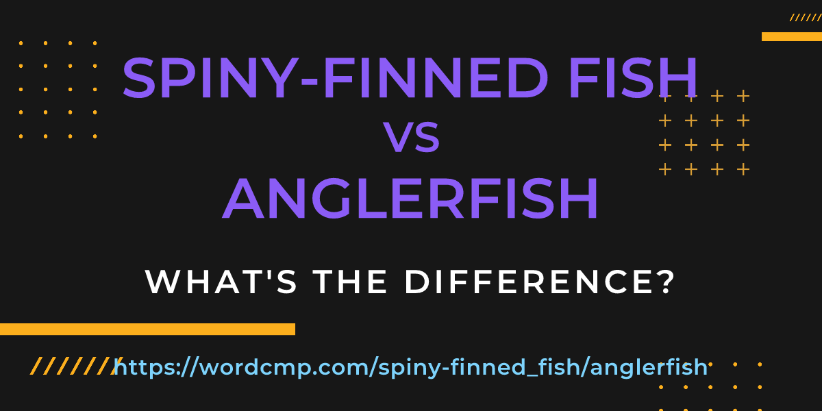 Difference between spiny-finned fish and anglerfish