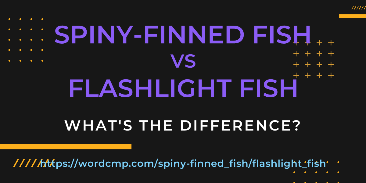 Difference between spiny-finned fish and flashlight fish