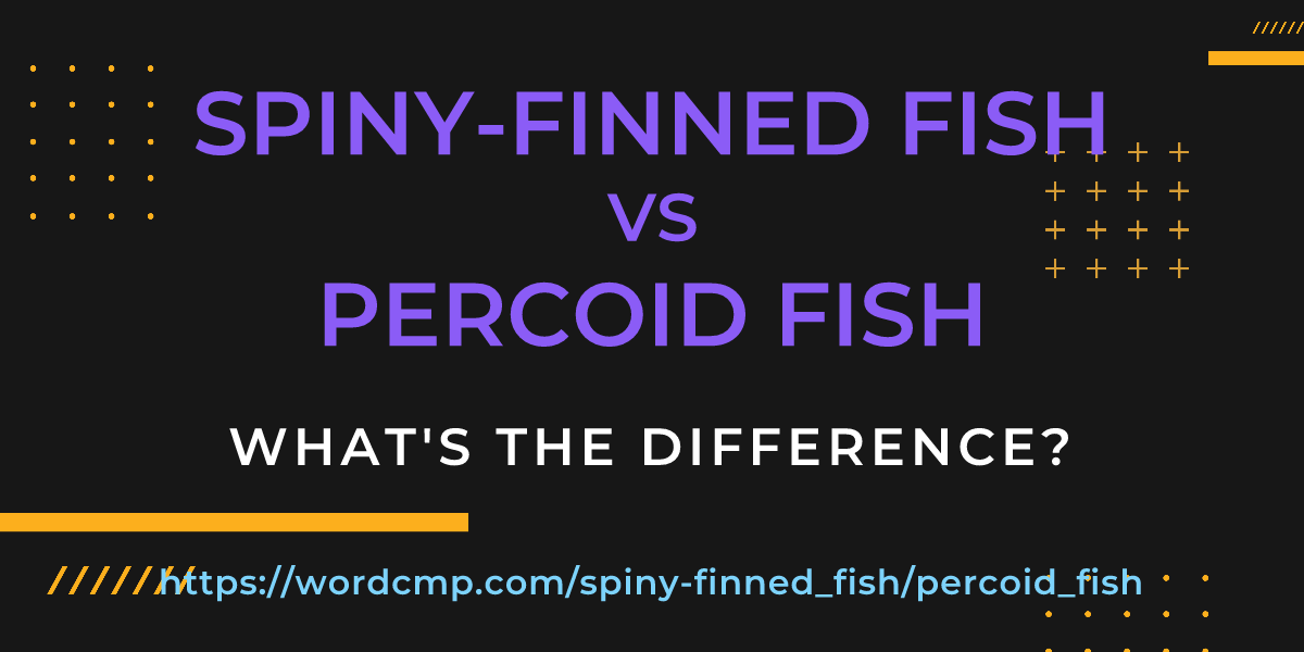 Difference between spiny-finned fish and percoid fish