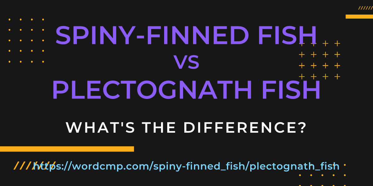 Difference between spiny-finned fish and plectognath fish