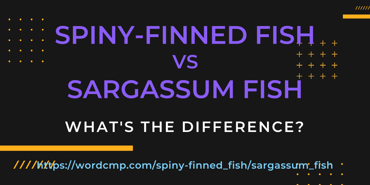 Difference between spiny-finned fish and sargassum fish
