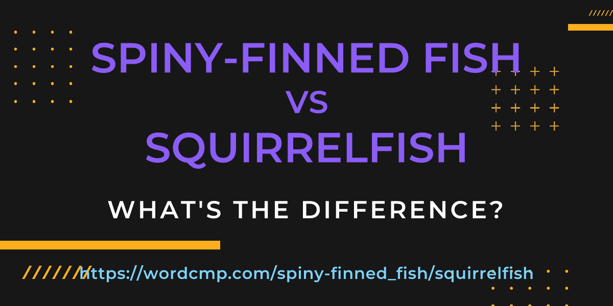 Difference between spiny-finned fish and squirrelfish