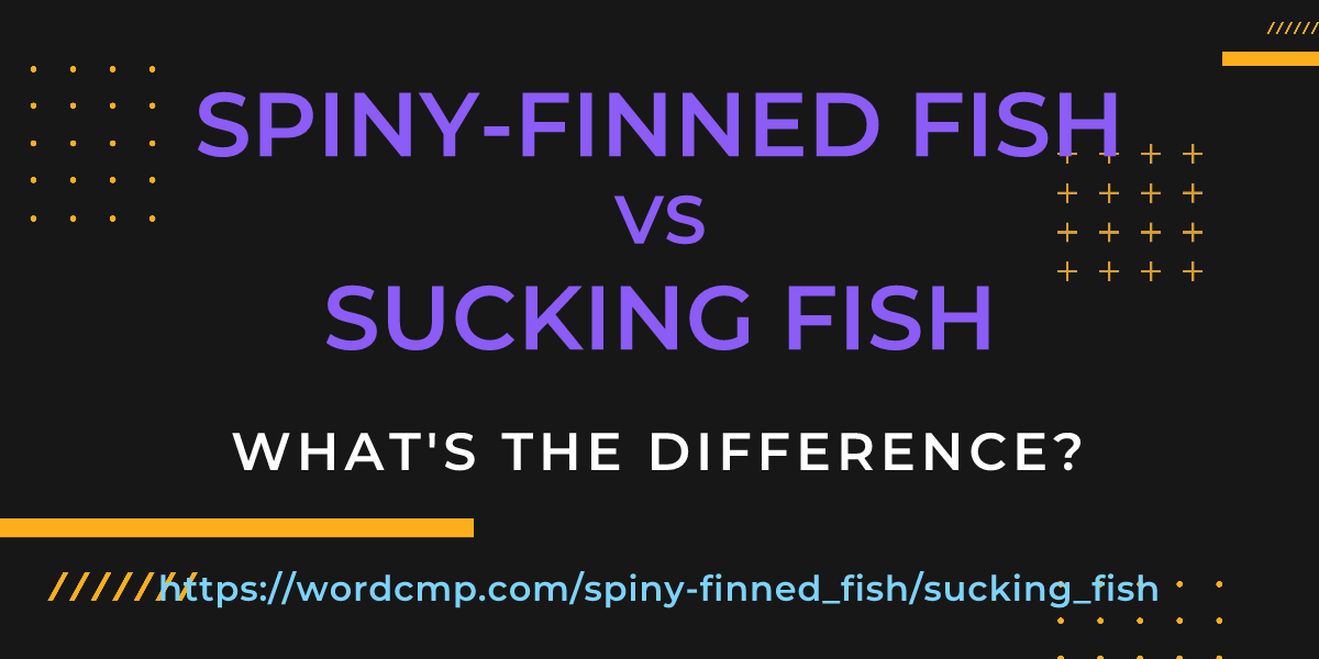Difference between spiny-finned fish and sucking fish