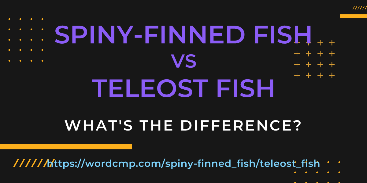 Difference between spiny-finned fish and teleost fish