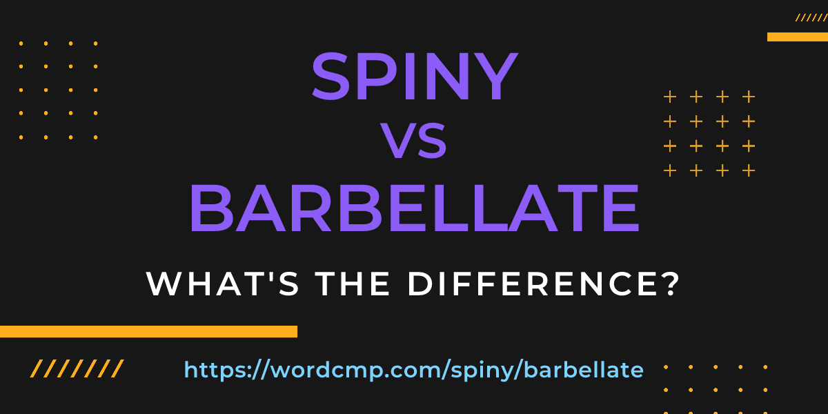 Difference between spiny and barbellate