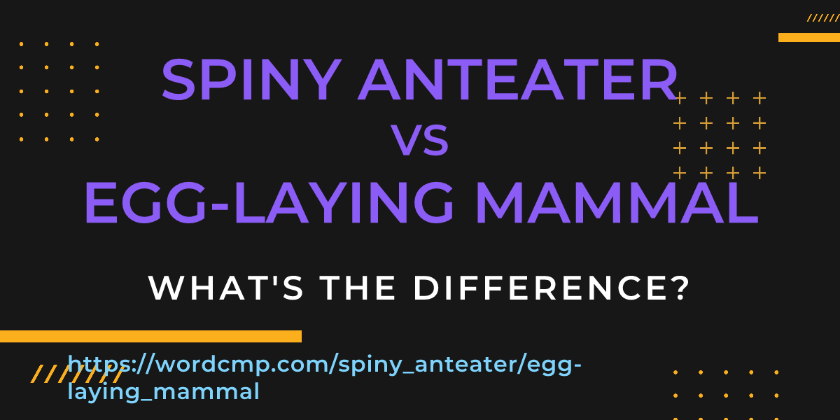 Difference between spiny anteater and egg-laying mammal
