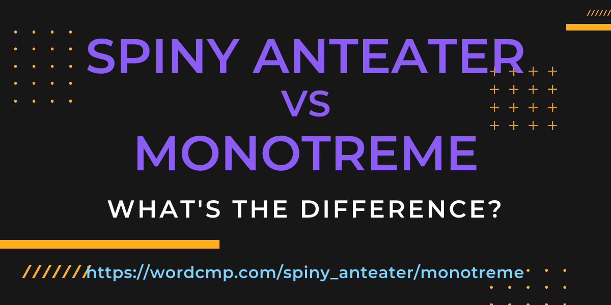 Difference between spiny anteater and monotreme