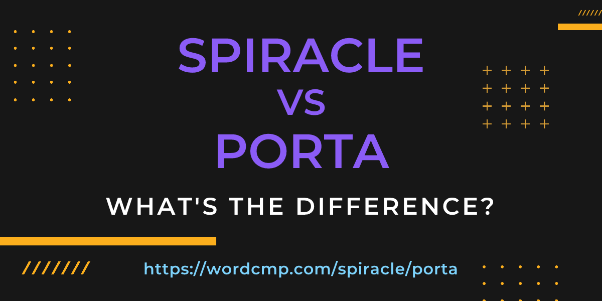 Difference between spiracle and porta