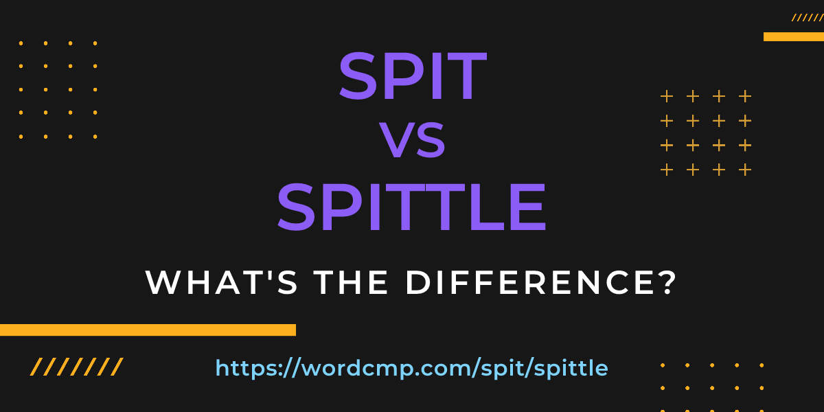 Difference between spit and spittle