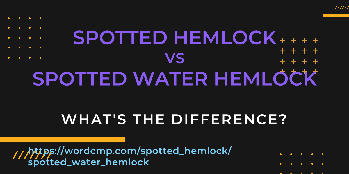 Difference between spotted hemlock and spotted water hemlock