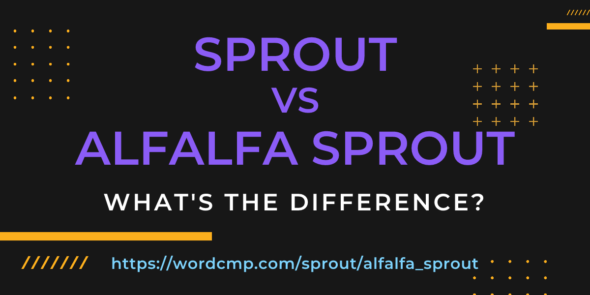 Difference between sprout and alfalfa sprout